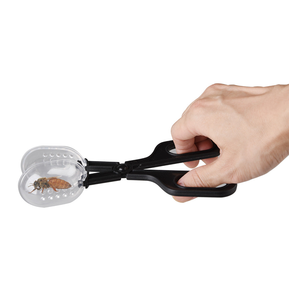 Scissor-style Queen Catcher