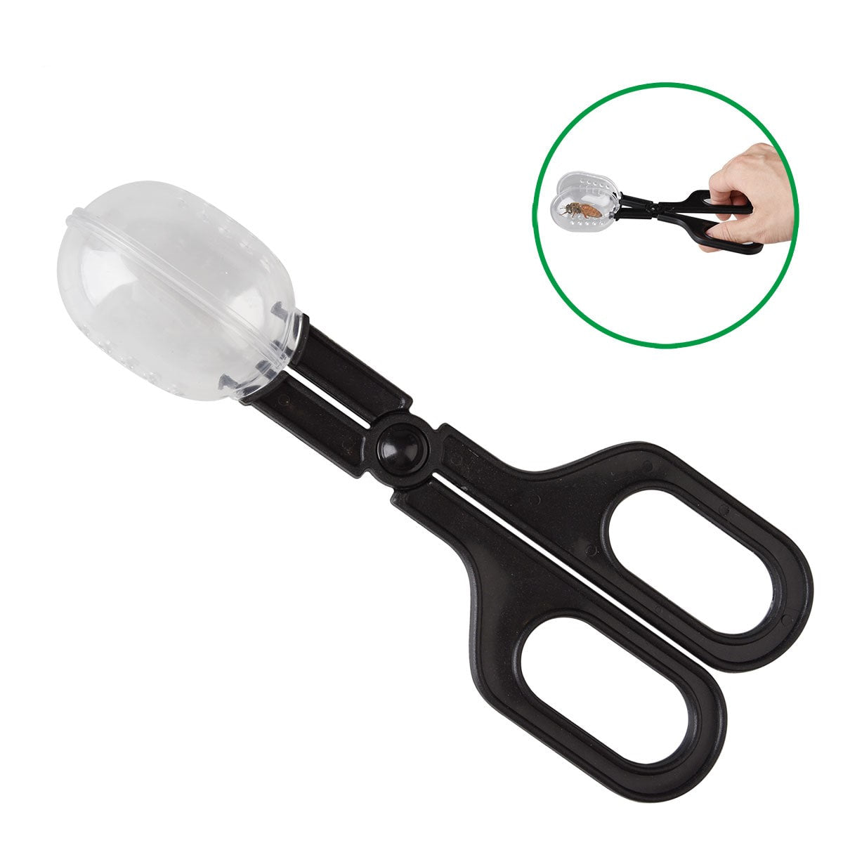Scissor-style Queen Catcher