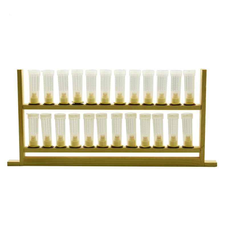 Queen Rearing Frame
