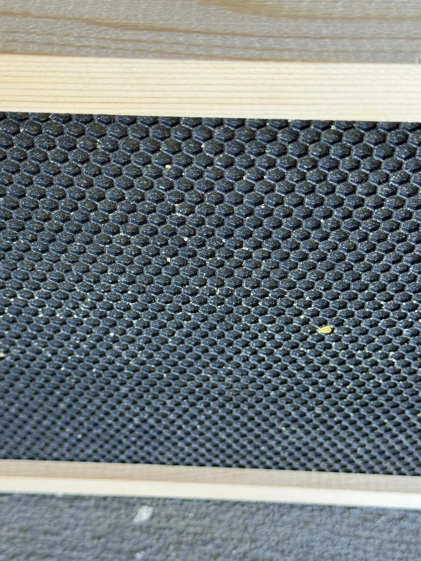 20 Coated Deep Ready-to-go Frames (with black plastic foundations)