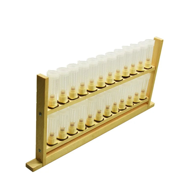 Queen Rearing Frame