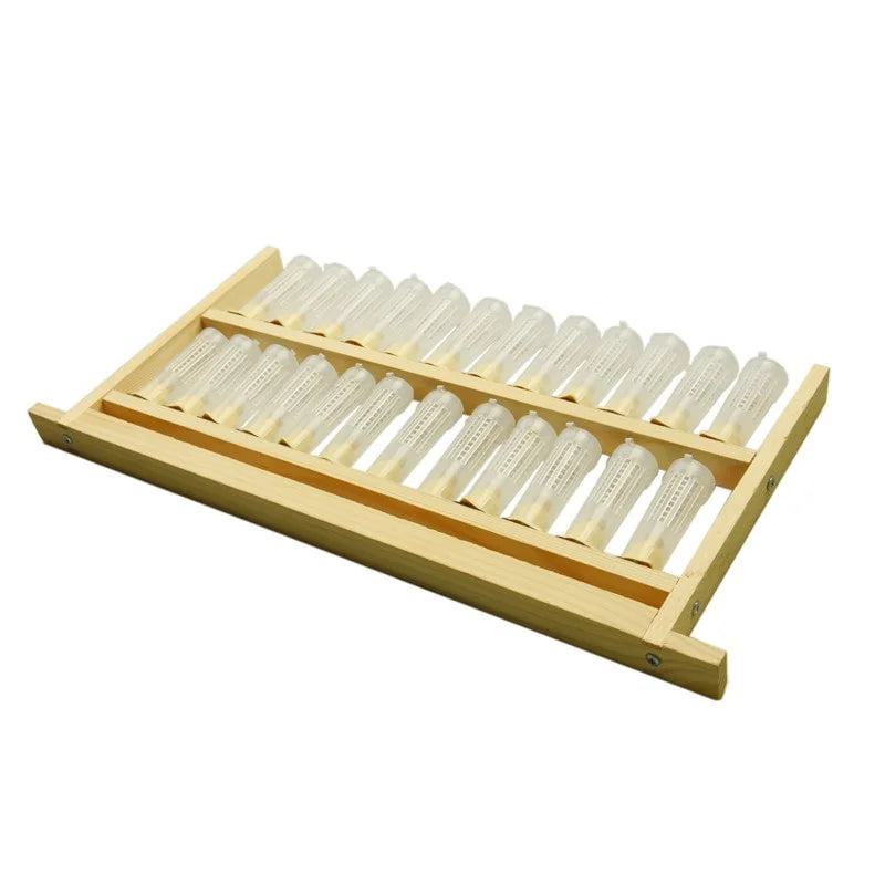 Queen Rearing Frame
