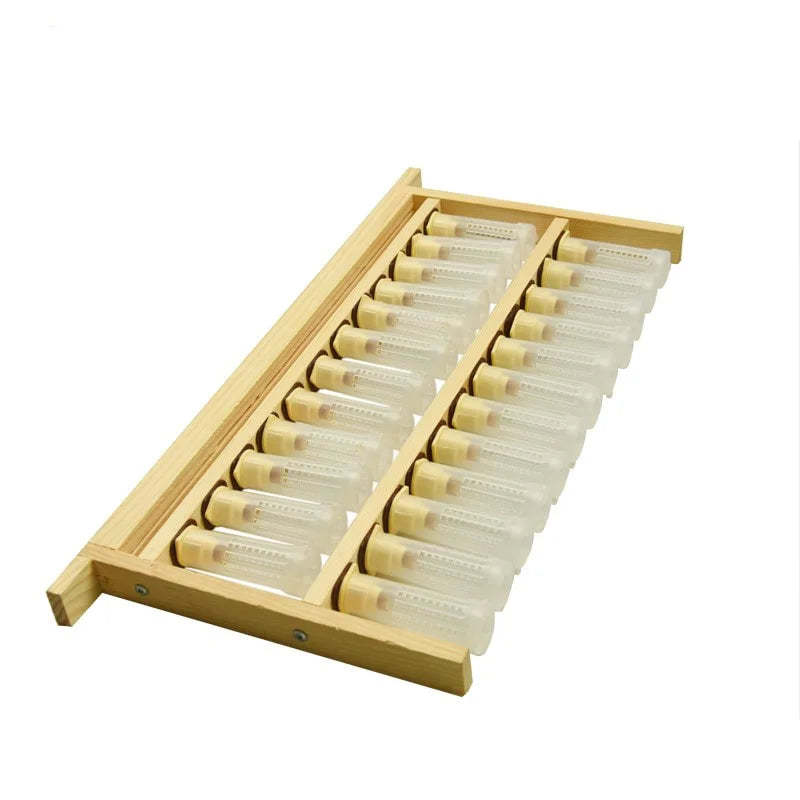 Queen Rearing Frame