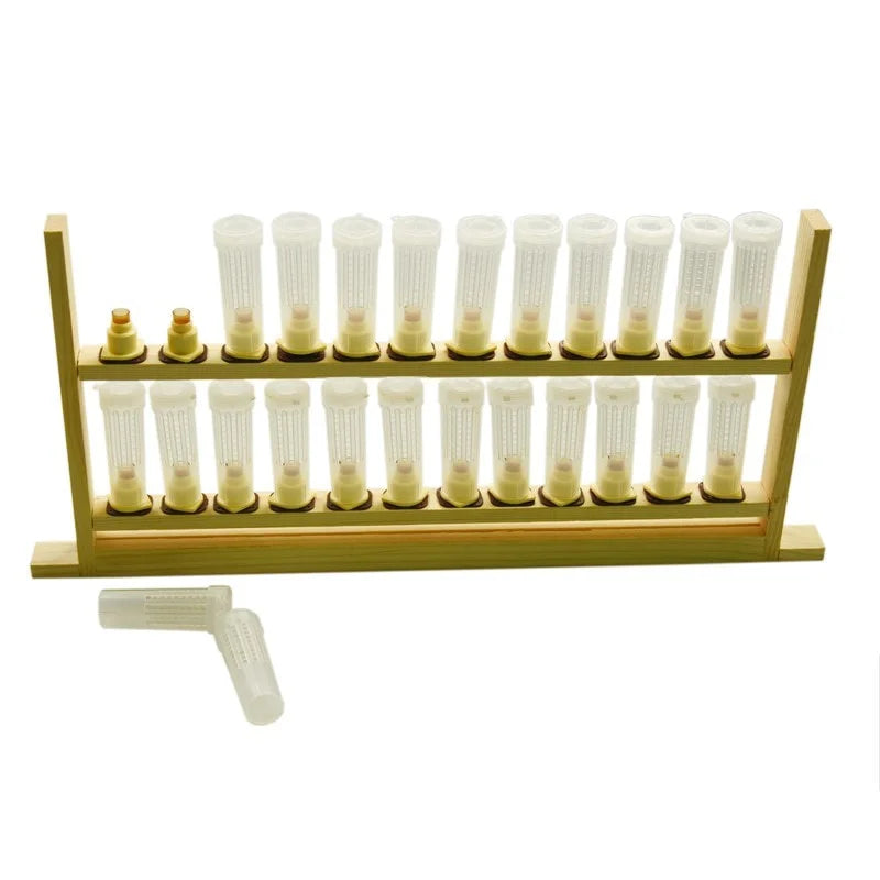 Queen Rearing Frame
