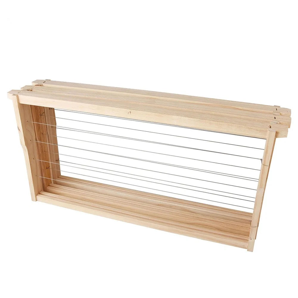 20 Deep Wired Frames