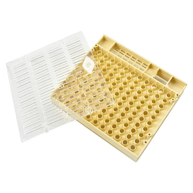 Queen Rearing Box