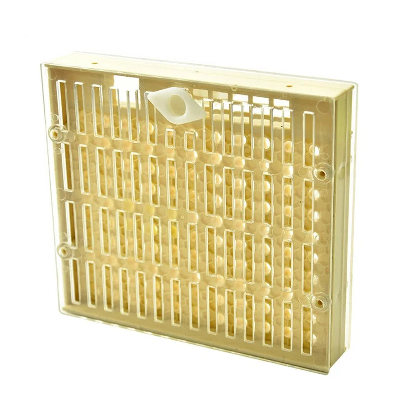 Queen Rearing Box