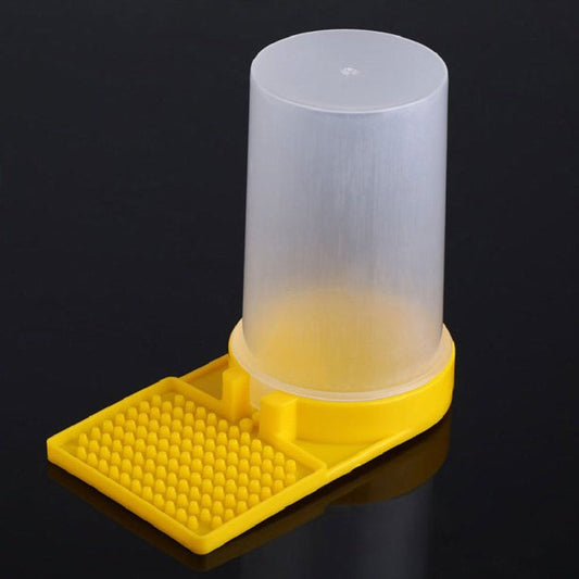 Entrance Feeder
