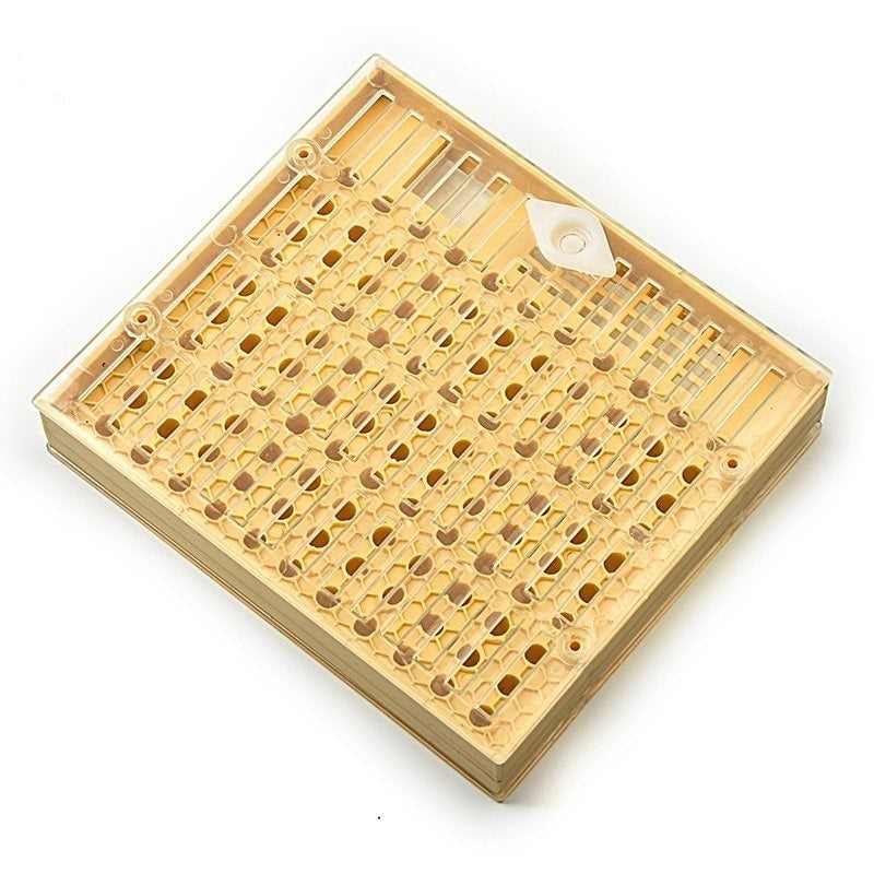 Queen Rearing Box – Bee & Comb