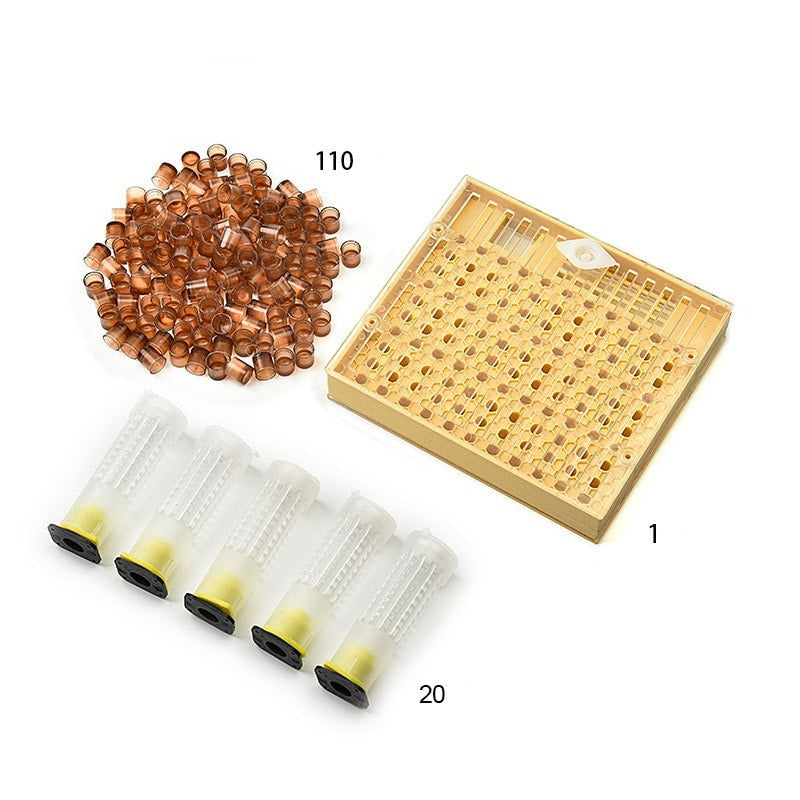 Queen Rearing Kit – Bee & Comb