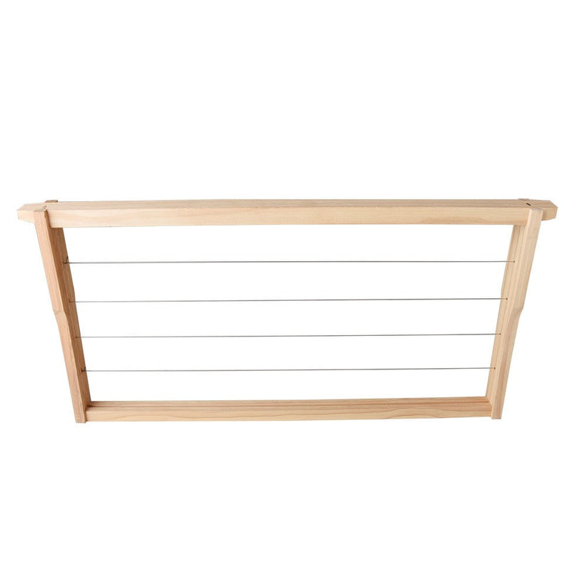 20 Deep Wired Frames – Bee & Comb