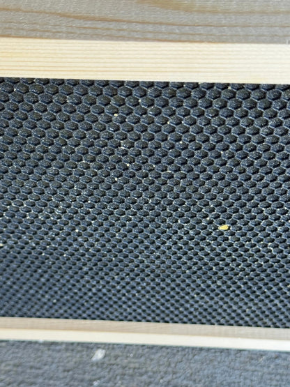20 Coated Deep Ready-to-go Frames (with black plastic foundations)