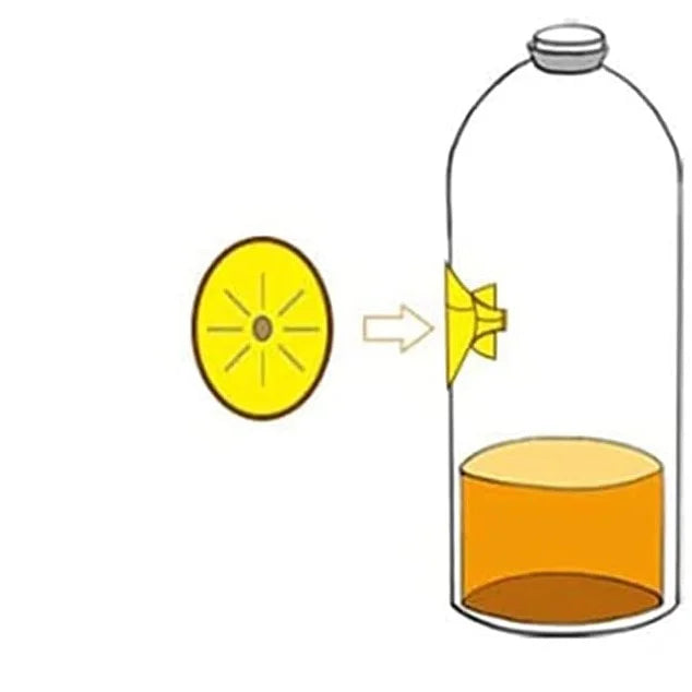 Wasp Trap