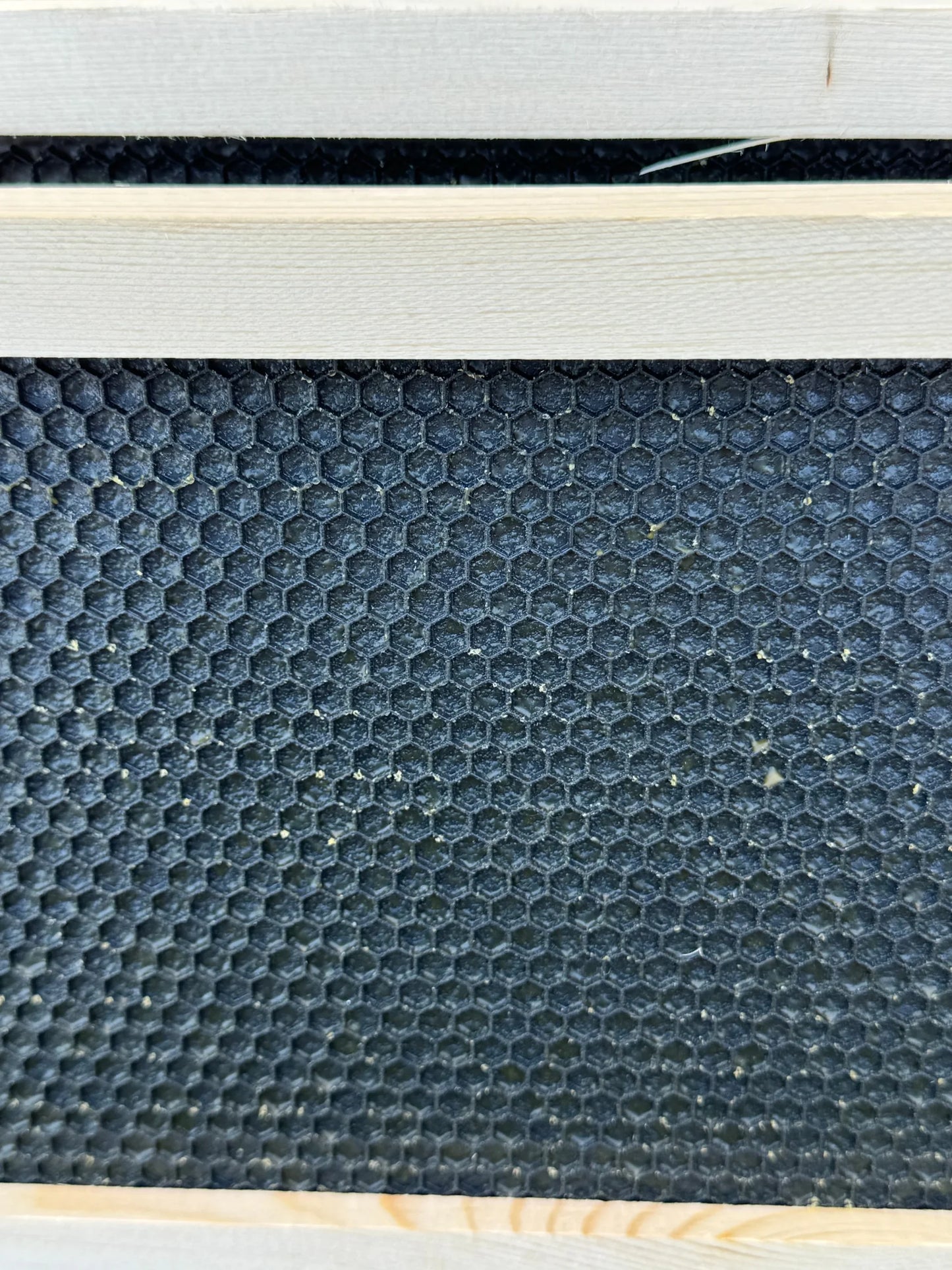 40 Triple Coated Medium Ready-to-go Frames (with black, plastic foundations)