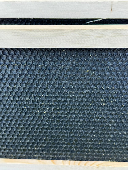 40 Triple Coated Medium Ready-to-go Frames (with black, plastic foundations)