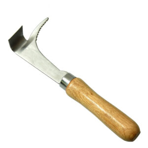 Tool with serrated hook