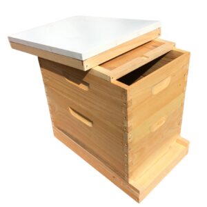 10-frame unassembled, 2-store hive