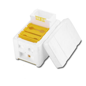 Nuc box